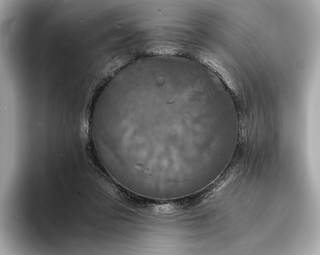 X0000094060309200710261231