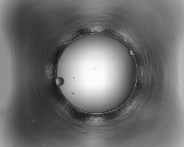 X0000094060311200710261231