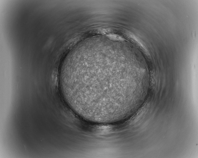 X0000094060313200710261231