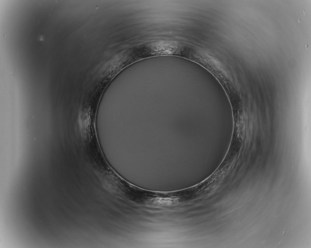 X0000094060314200710261231