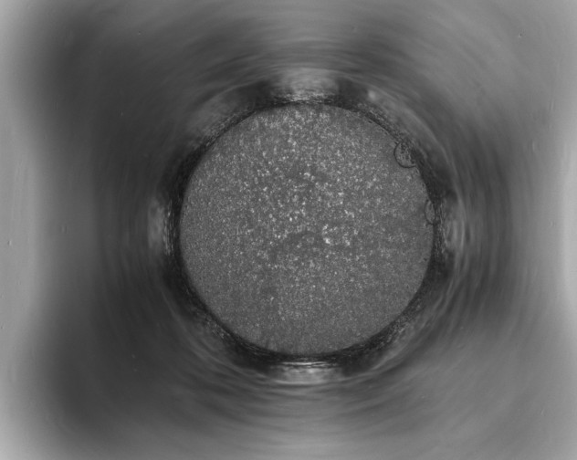 X0000094060316200710261231