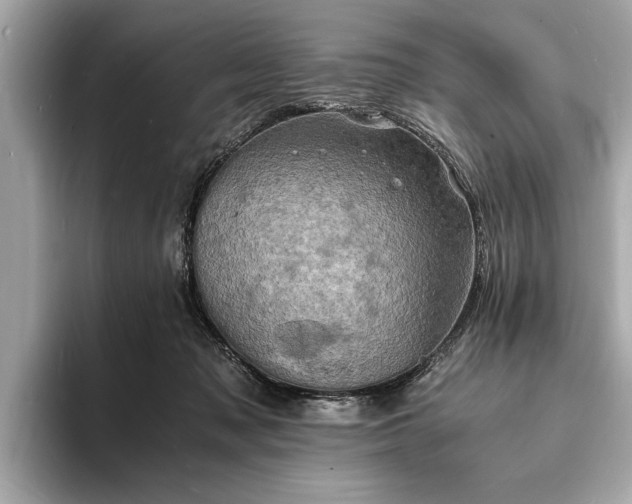 X0000094060317200710261231