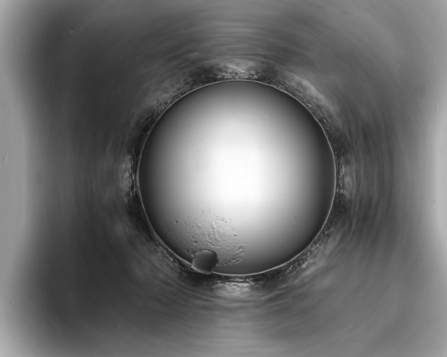 X0000094060318200710261231
