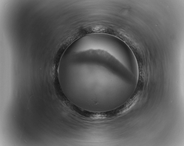 X0000094060319200710261231