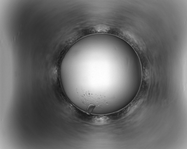 X0000094060321200710261231