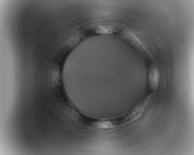 X0000094060322200710261231