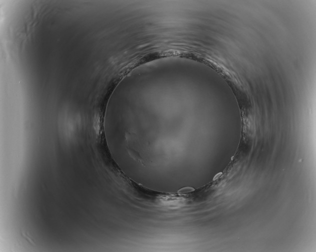X0000094060331200710261231