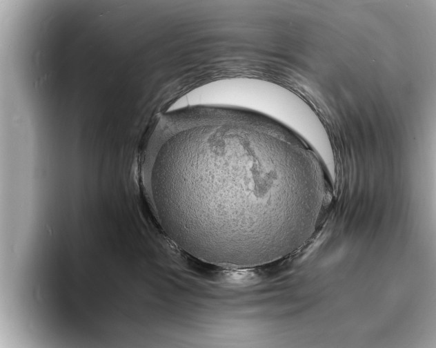 X0000094060333200710261231