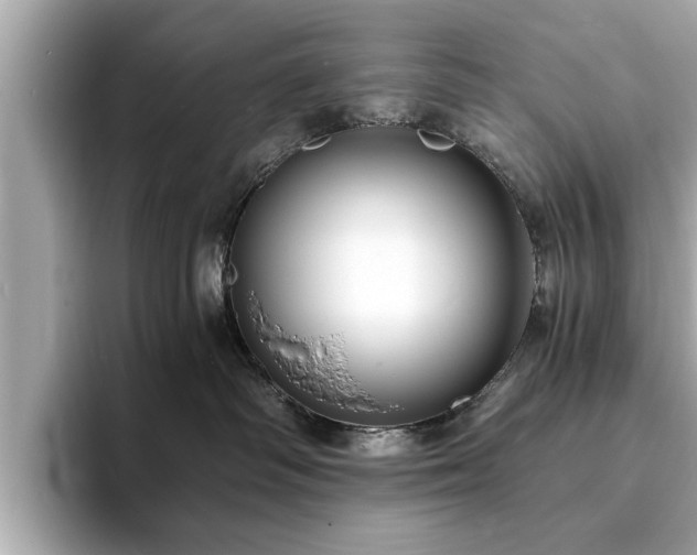 X0000094060334200710261231