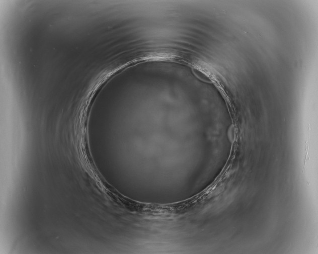 X0000094060337200710261230