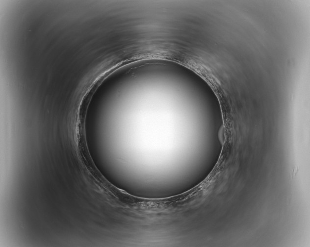 X0000094060338200710261230