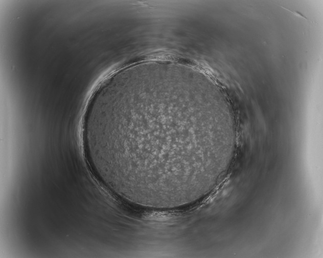 X0000094060341200710261230