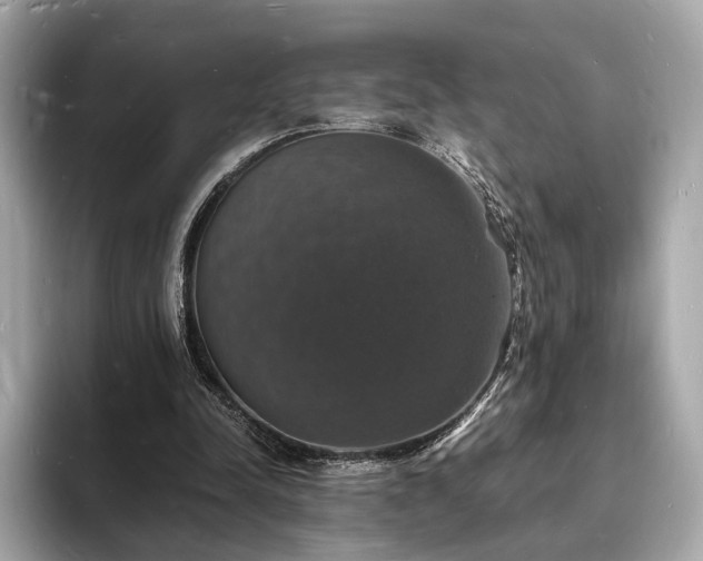 X0000094060342200710261230