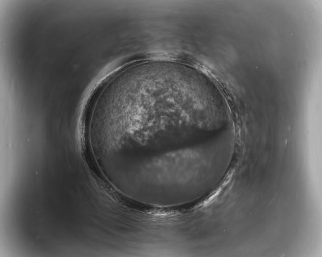 X0000094060343200710261230