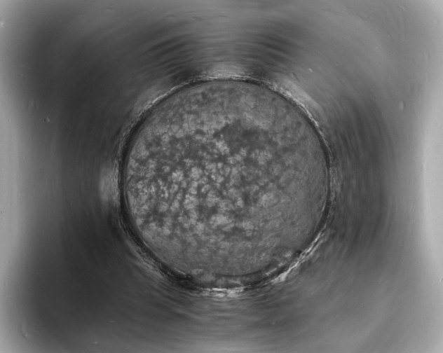 X0000094060345200710261230