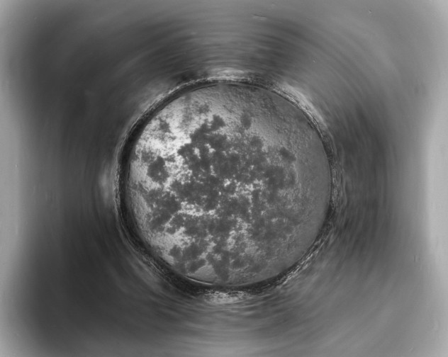 X0000094060346200710261230