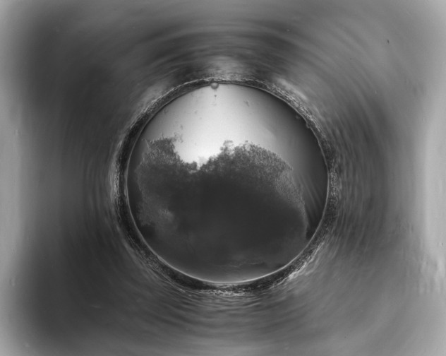 X0000094060347200710261230