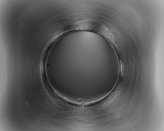 X0000094060348200710261230