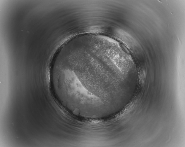 X0000094060350200710261230