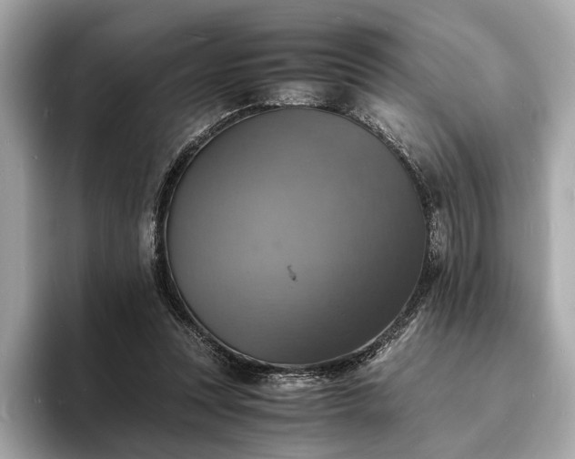 X0000094060351200710261230