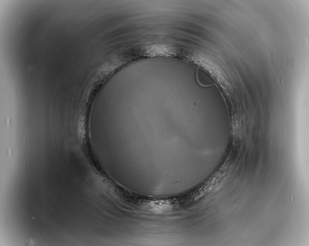 X0000094060353200710261230