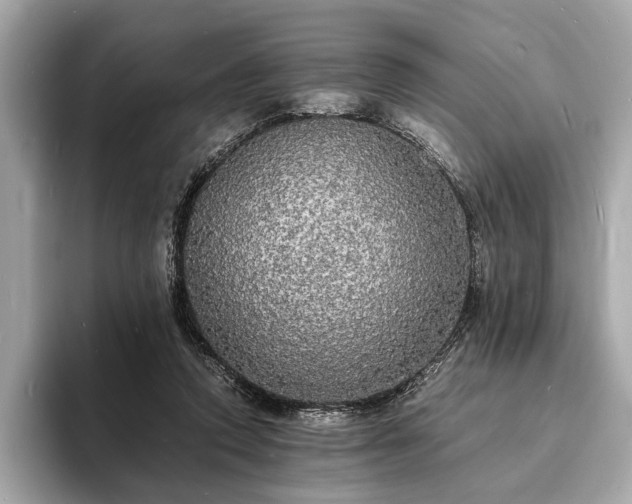 X0000094060354200710261230