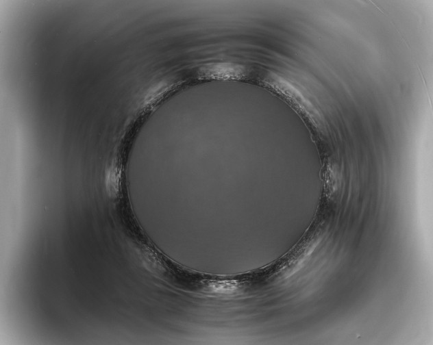 X0000094060355200710261230