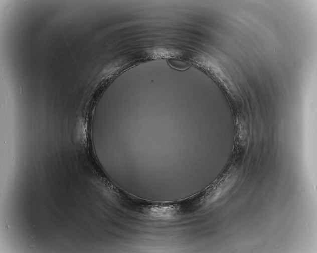 X0000094060357200710261230