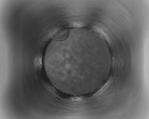 X0000094060358200710261230
