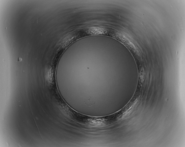X0000094060359200710261230