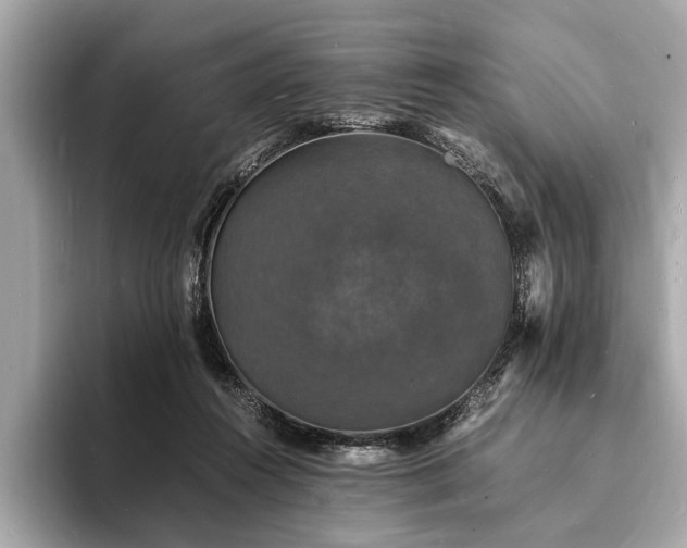 X0000094060360200710261230