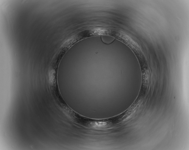 X0000094060361200710261230