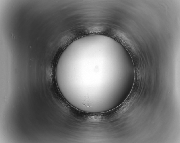 X0000094060362200710261230