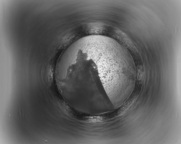 X0000094060363200710261230