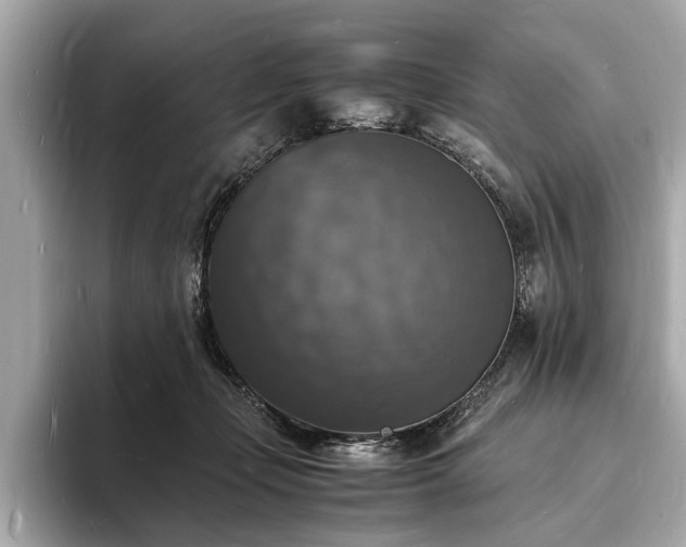 X0000094060365200710261230
