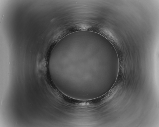 X0000094060366200710261230