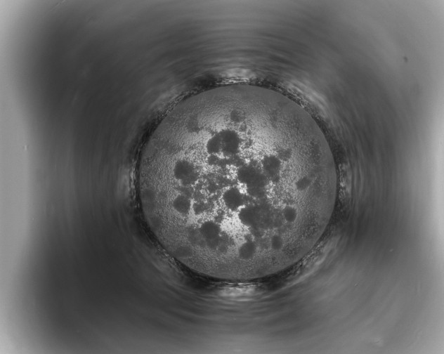 X0000094060369200710261230