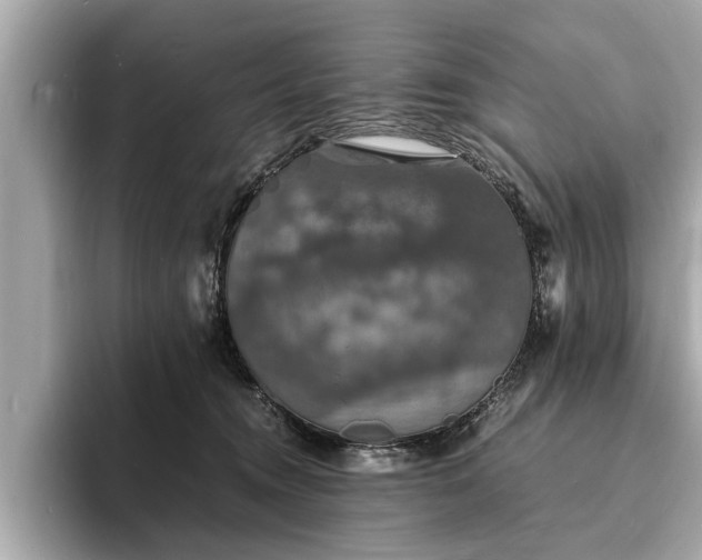 X0000094060372200710261230