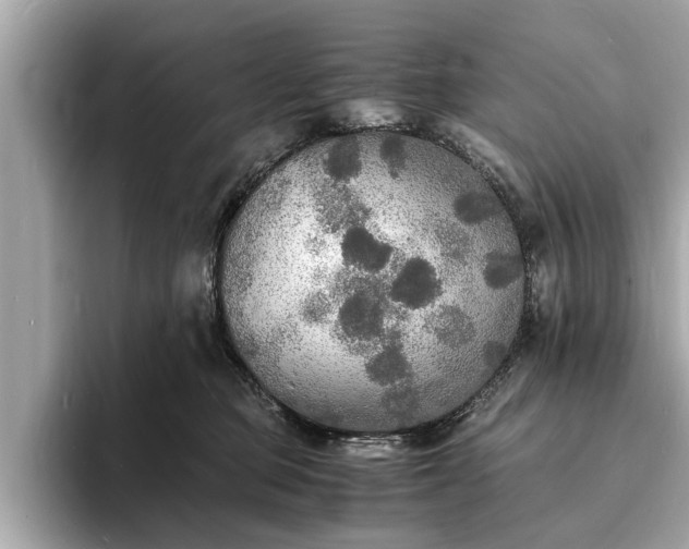 X0000094060373200710261230