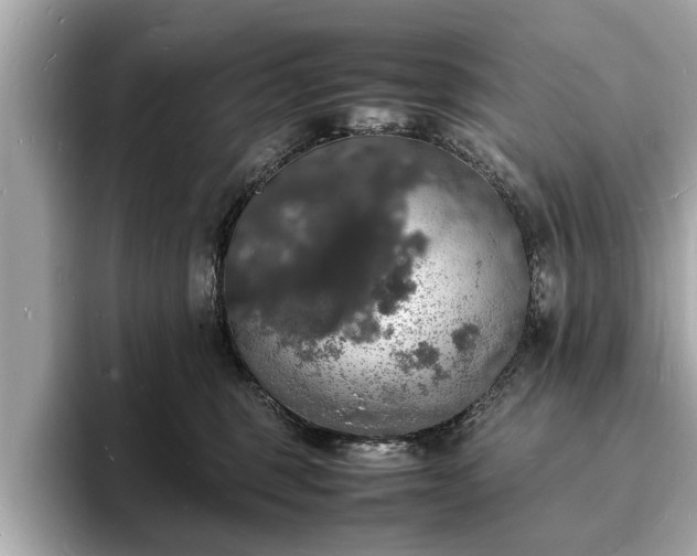 X0000094060375200710261230