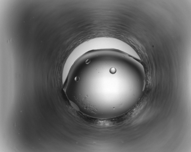 X0000094060376200710261230