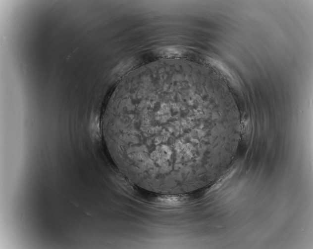 X0000094060381200710261231