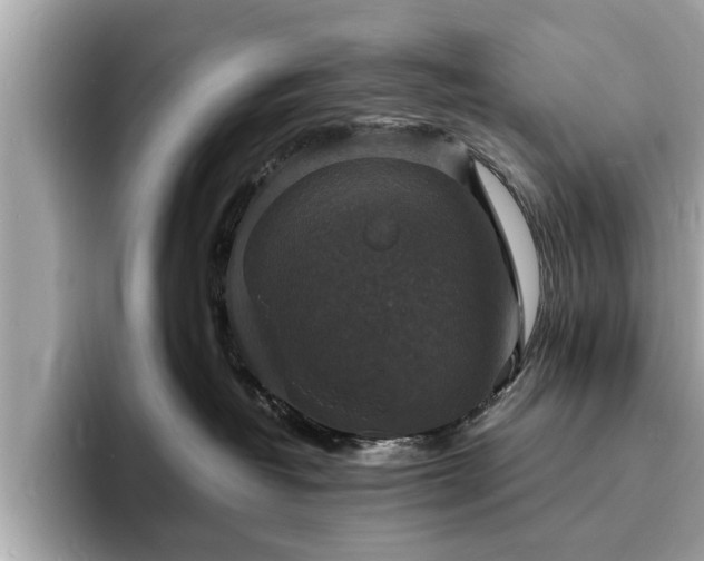 X0000094060382200710261231