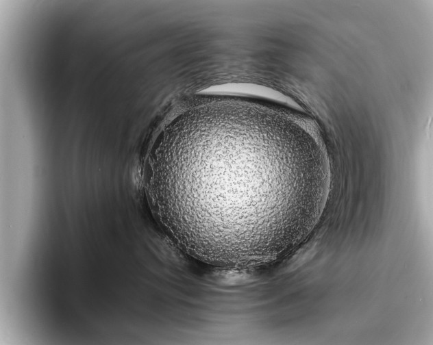 X0000094060384200710261231