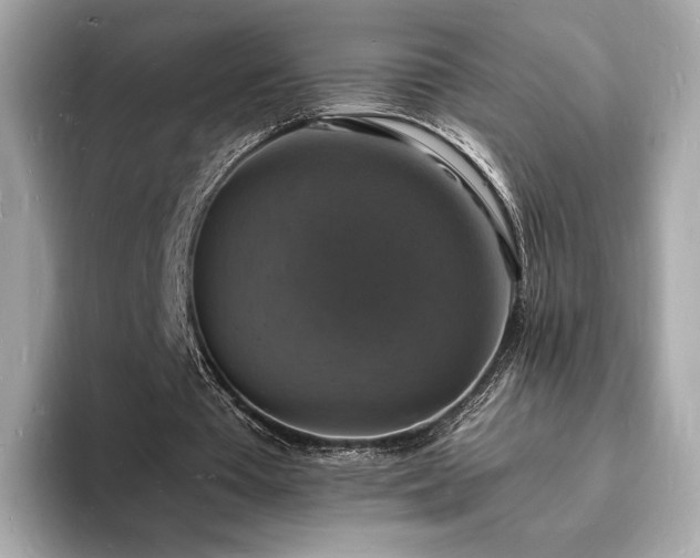 X0000094060385200710261230