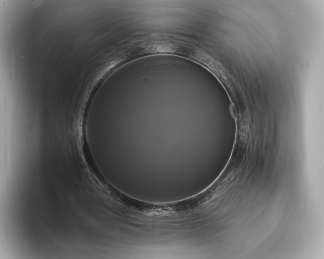 X0000094060386200710261230