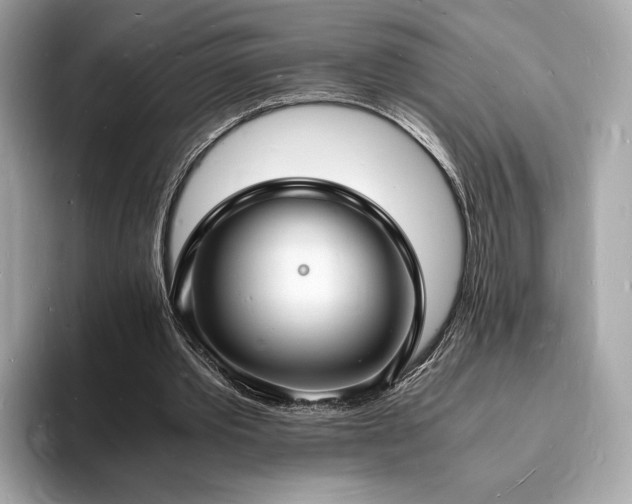 X0000094060389200710261230