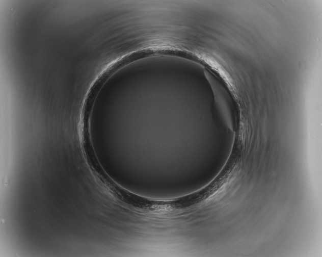 X0000094060391200710261230