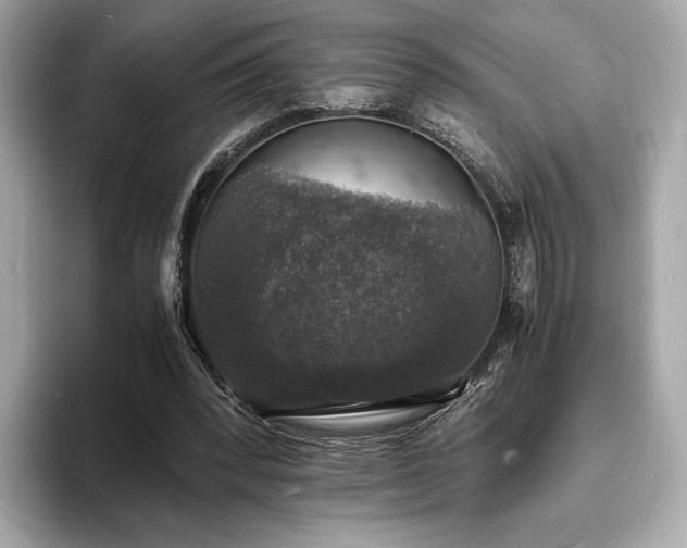 X0000094060392200710261230