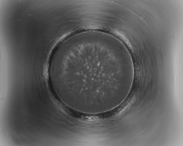 X0000094060395200710261230